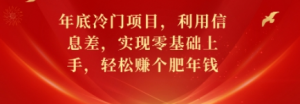 年底冷门项目，利用信息差，实现零基础上手，轻松赚个肥年钱【揭秘】-阿鑫