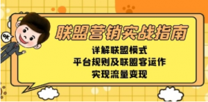 联盟营销实战指南，详解联盟模式、规则运作，实现流量变现-阿鑫