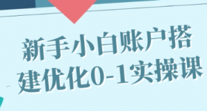 抖音广告投放新手小白账户搭建优化0-1实操课-阿鑫