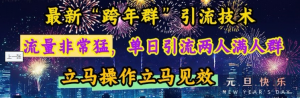 最新“跨年群”引流,流量非常猛,单日引流两人满人群,立马操作立马见效【揭秘】-阿鑫