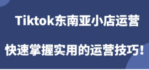 Tiktok跨境小店运营,快速掌握实用的运营技巧!-阿鑫