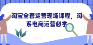 淘宝全套运营现场课程,淘系电商运营必学-阿鑫