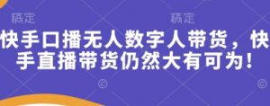 快手口播无人数字人带货-阿鑫
