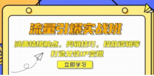 流量引爆实战班,剪辑技巧,投放逻辑等,打造女性IP变现-阿鑫