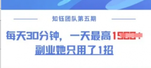 副业她只用了1招，每天30分钟，无脑二创，一天最高1.5k-阿鑫