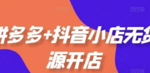 拼多多+抖音小店无货源开店，包括:选品、运营、基础、付费推广、爆款案例等更新25年2月)-阿鑫