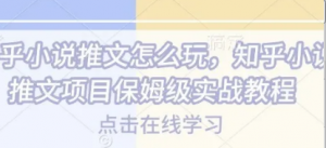 知乎小说推文怎么玩，知乎小说推文项目保姆级实战教程-阿鑫