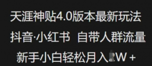 天涯神贴4.0版本最新玩法，抖音·小红书自带人群流量，新手小白轻松月入过W-阿鑫