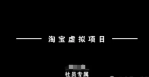 淘宝虚拟项目，从理论到实操，新手也能快速上手-阿鑫