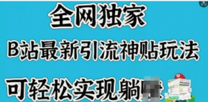 全网独家，B站最新引流神贴玩法，可轻松实现躺Z-阿鑫