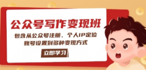 公众号变现班:包含从公众号注册、定位、账号多种变现方式-阿鑫