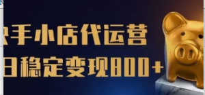 快手小店代运营】限时托管计划，全程喂饭，单日稳定变现5张【揭秘】-阿鑫