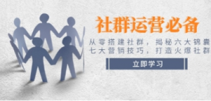 社群运营,从零搭建社群,揭秘六大锦囊、七大营销技巧,打造火爆社群-阿鑫