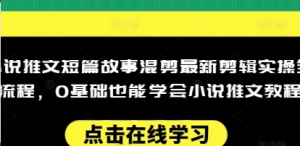 小说推文短篇故事混剪最新剪辑实操全流程，0基础也能学会小说推文教程，肯干多发日入多张-阿鑫