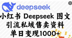 小红书Deepseek图文引流私域售卖资料单日变现多张-阿鑫
