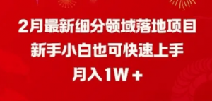 2月最新细分领域落地项目，新手小白也可快速上手，月入1W-阿鑫