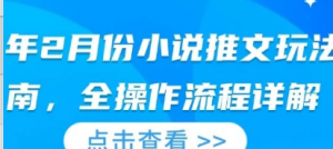 25年2月份小说推文玩法指南，全操作流程 详解-阿鑫