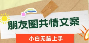 朋友圈共情文案，红利流量很大，作品制作简单，小白轻松上手-阿鑫