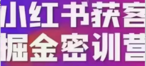 小红书获客掘金线下课,录音+ppt照片小红书运营玩法,获客印钞机-阿鑫