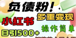 2月最新小红书日引500+负债粉,多重变现轻松过W,矩阵放大无上限-阿鑫