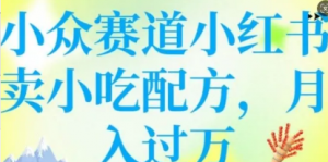 小众赛道小红书卖小吃配方，操作简单，月 入过W-阿鑫