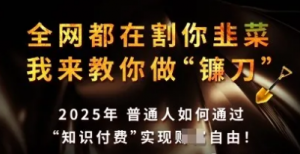 知识付费如何做到月入过W+，2025我来 教你做'镰刀'【揭秘】-阿鑫