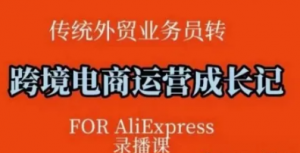 跨境电商速卖通运营课，运营方法论+后台 实操，逻辑清晰-阿鑫