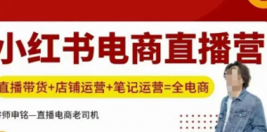 小红书电商直播训练营，直播带货+店铺运 营+笔记运营-阿鑫