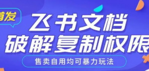 首发飞书文档破解复制权限,售卖自用均可暴力玩法-阿鑫