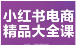 小红书电商精品大全课，快速掌握小红书运营技巧，实现精准引流与爆单目标，轻松玩转小红书电商(更新2月)-阿鑫