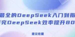 全网最全的Deepseek入门到指南，看完Deepseek效率提升80%(建议收藏)-阿鑫