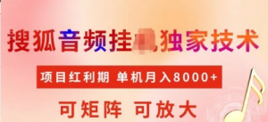 首发搜狐音频挂川,项目红利期,可矩阵可放大,稳定月入5k【揭秘】-阿鑫