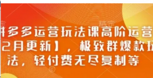 拼多多运营玩法课高阶运营【2月更新】极致群爆款玩法，轻付费无尽复制等-阿鑫