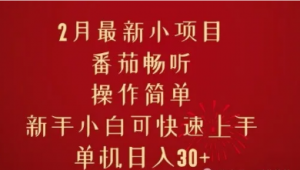 2月最新小项目,番茄畅听,操作简单新手小自可快速上手,单机日入30+-阿鑫