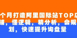 4个月打造阿里国际站TOP店铺，懂逻辑精分析，会规划，快速提升询盘量-阿鑫