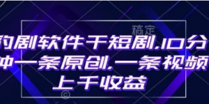 豹剧软件干短剧，10分钟一条原创，爆一条视频上干收益-阿鑫