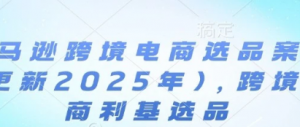 亚马逊跨境电商选品案例(更新2025年2 月)，跨境电商利基选品-阿鑫