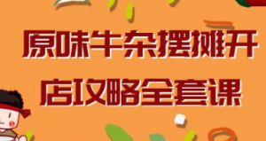 《原味牛杂摆摊开店攻略》教程视频-阿鑫