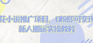蛋花小说推文项目,0粉即可变现,新人搬 运实操教程-阿鑫