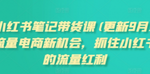 小红书笔记带货课(更新25年2月)流量电商新机会,抓住小红书的流量红利-阿鑫