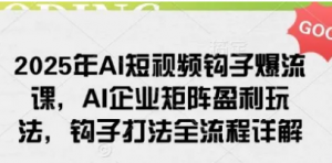 2025年AI短视频钩子爆流课，AI企业矩阵盈利玩法，钩子打法全流程详解-阿鑫