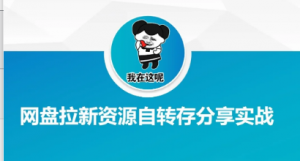 网盘拉新资源自动转存分享实战-阿鑫