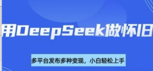 利用Deepseek做怀旧视频，流量号多渠道 变现能力强-阿鑫
