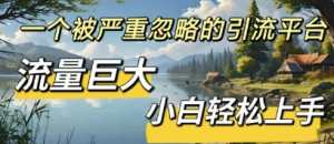 QQ引流创业粉，流量巨大，小自轻松上手，单日引流500-阿鑫