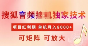全网首发搜狐音频挂J独家技术，项目红利期，可矩阵可放大，稳定月入8k【揭秘】-阿鑫