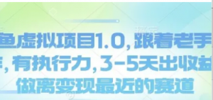闲鱼虚拟项目1.0,5跟着老手操作,有执行力,3-5天出收益,做离变现最近的赛道-阿鑫