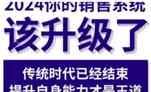 2024能落地的销售实战课，你的销售系统 该升级了(更新2月)-阿鑫