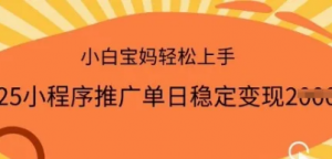 2025小程序推广单日稳定变现多张，一部手机即可操作，小白宝妈轻松上手【揭秘】-阿鑫