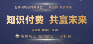 别人苦寻无果,为何他们靠知识付费卖项目2025 年轻松年入100个?【揭秘】-阿鑫