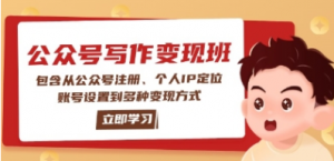 公众号变现班:包含从公众号注册、定位、账号多种变现方式-阿鑫